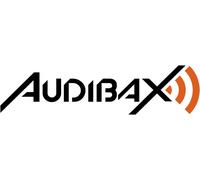 Miami Amplificador Karaoke Bluetooth 100W + 100W. Mando a distancia