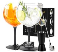 MIAMIO - lot de 2 verres à gin 650 ml Crystaluna pour la maison