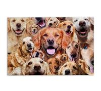 MIAOMANSENSTORE Tapis d'entrée Paillasson Golden Retriever, Visages drôles de Chiens Golden Retriever, j'espère Que Vous Aimez Les Poils de Chien, paillasson de Bienvenue Decoration Chambre