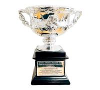 MIAOWR Trophée De L'open D'australie Masculin Souvenir du Champion De Tennis Hauteur : 16 Cm Décoration De Table pour La Maison, Le Bar, Le Bureau Collections De Cadeaux pour Les Fans