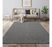 Mia's Tapis géant Moderne à Poils Courts et Moelleux - Toucher Super Doux - Effet mélangé - Brillance élégante