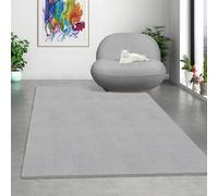 Mia's Teppiche Comfort Tapis Moderne Moelleux à Poils Courts, Dessous antidérapant, Lavable à 30 degrés, Super Doux, Aspect Fourrure, Gris, 160 x 220 cm