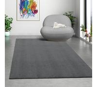 Mia's Teppiche Comfort Tapis Moderne Moelleux à Poils Courts, Dessous antidérapant, Lavable à 30 degrés, Super Doux, Aspect Fourrure, Anthracite, 120 x 160 cm