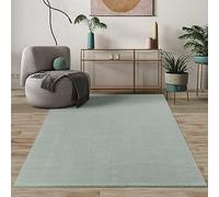 Mia's Teppiche Comfort Tapis Moderne Moelleux à Poils Courts, Dessous antidérapant, Lavable à 30 degrés, Super Doux, Aspect Fourrure, Vert, 240 x 340 cm