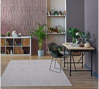 Mias Teppiche Mia´s Tapis Taos Tapis Moelleux à Poils Courts, Dessous antidérapant, Lavable à 30 degrés, Super Doux, Aspect Fourrure, Gris, 240 x 340 cm