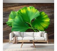 MIATCENRT Papier Peint Panoramique Plantes De Ginkgo 400x280cm (L×H) - Décoration Murale Moderne - Décor pour Chambre Salon, Murale Motifs Table Feuilles Vert émeraude, Décoration de Luxe