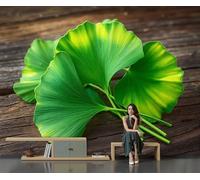 MIATCENRT Papier Peints Panoramique Soie Planche En Bois Feuilles Ginkgo 450x315cm - Geant Mural Personnalisé Effet 3D - Thème Plantes Vintage Pour Salon et Chambre à Coucher Décoration Murale