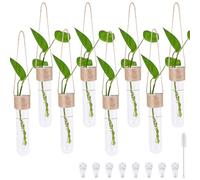 Miawtro Vase Tube à essai 8 pièces, Vase Suspendu au Mur, Tube à essai avec Corde de Suspension, Verre Jacinthe, pour Suspendre des Fleurs, Peut être utilisé comme décoration de fenêtre