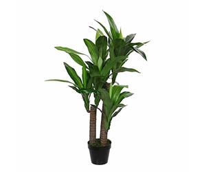 MICA Decorations 1026439 Dracaena en Pot Vert - H110 x D60 cm Plante en Plastique, Caoutchouc, Vert, 60 x 60 x 110 cm