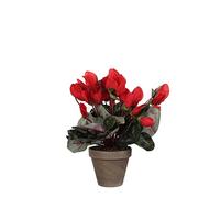 MICA Decorations 947226 Fleurs artificielles Cyclamen Rouge
