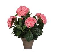 MICA Decorations 947276 Fleurs Rose Hortensia