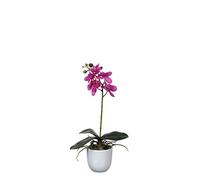 MICA Decorations 949937 Fleurs, Orchidée, Violet