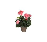MICA Decorations 950217, géranium Grandes Fleurs, Orange