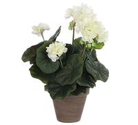 BOTANIC®-Géranium crème plante artificielle en pot H 34 x diamètre 20 cm