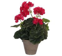 MICA Decorations 975166, géranium Grandes Fleurs, Rose