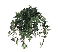 MICA Decorations 976672 Fleurs, Plantes en Pots Suspendus, Vert