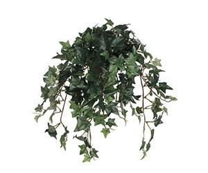 MICA Decorations 976672 Fleurs, Plantes en Pots Suspendus, Vert