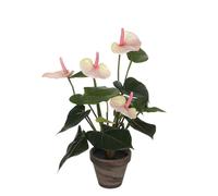 Mica Decorations Anthurium Plante artificielle dans pot de fleur Stan - H40 x Ø30 cm - Rose clair