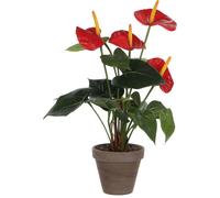 Mica Decorations Anthurium Plante artificielle dans pot de fleur Stan Stan - H38 x Ø30 cm - Rouge