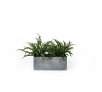 MICA DÉCORATIONS-Bac rectangle Stream S/3 anthracite H.23 cm