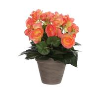 Plante artificielle Mica Decorations Begonia Saumon Polyester H30xl25xL25cm