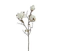Mica Decorations Branche artificielle magnolia - H88 cm - Blanc