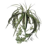 Mica Decorations Chlorophytum Plante artificielle dans pot de fleur Stan - H45 x Ø45 cm - Vert