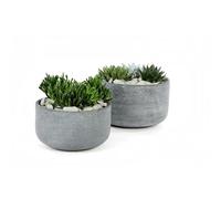MICA DÉCORATIONS-Coupe grise gamme Stream diamètre 37 cm