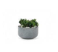 MICA DÉCORATIONS-Coupe Stream Anthracite diamètre.32 x H.18 cm