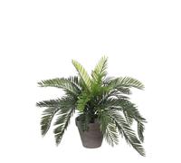 Mica Decorations Cycas-Palmier plante artificielle dans pot de fleurs Stan - H37 x Ø44 cm - Vert