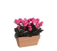Mica Decorations Cyclamen Plante artificielle en balconnière Slate - L29 x l13 x H33 cm - Rose