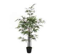 Mica Decorations dans pot en plastique bambou artificielle, Polyester, vert, 75 x 75 x 120 cm