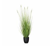 MICA Decorations Eremurus - Gazon Artificiel en Pot - Fausse Plante Interieur - Plantes Artificielles Interieur - H80 x Ø25 cm - Vert, Blanc