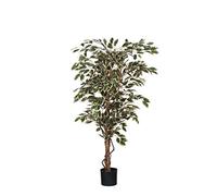 MICA Decorations Ficus Hawaii dans Pot en Plastique Plante Artificielle, Polyester, Vert, Multicolore, Polyester, Vert/Multicolore, 75 x 75 x 150 cm