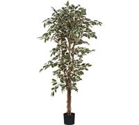 Mica Decorations Ficus plante artificielle - H170 x Ø80 cm - multicolore