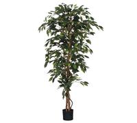 Mica Decorations Ficus plante artificielle - H170 x Ø80 cm - Vert