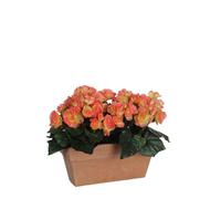 Mica Decorations Fleur artificielle Begonia - 29x13x25 cm - Polyester - Rose