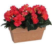 Mica Decorations Fleur artificielle Begonia - 29x13x25 cm - Polyester - Rose