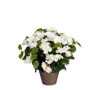 Mica Decorations Fleur artificielle Begonia - 36x36x37 cm - Polyester - Blanc