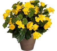 Mica Decorations Fleur artificielle Begonia - 36x36x37 cm - Polyester - Jaune