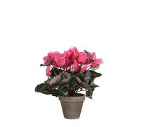 Mica Decorations Fleur artificielle Cyclamen - 30x30x30 cm - Polyester - Gris