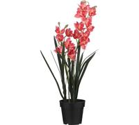 Mica Decorations Fleur artificielle Cymbidium - 19x19x92 cm - Polyester - Rose