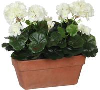 Mica Decorations Fleur artificielle Geranium - 29x13x40 cm - Plastique - Blanc