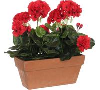 Mica Decorations Fleur artificielle Geranium - 29x13x40 cm - Plastique - Rouge