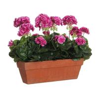 Mica Decorations Fleur artificielle Geranium - 39x13x40 cm - Polyester - Rose