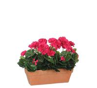 Mica Decorations Fleur artificielle Geranium - 39x13x40 cm - Polyester - Rose