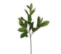 Mica Decorations Fleur artificielle Lauriertak - 58x1x1 cm - Polyester - Vert