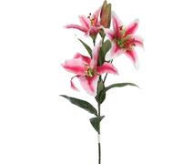Mica Decorations Fleur artificielle Lelie - 75x1x1 cm - Autre - Rose