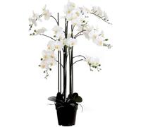 Mica Decorations Fleur artificielle Orchidee - 35x35x117 cm - Plastique - Blanc