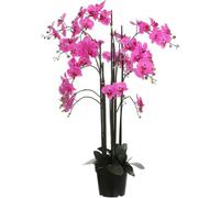Mica Decorations Fleur artificielle Orchidee - 35x35x117 cm - Plastique - Pourpre
